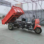 揭陽工程柴油三輪車自卸三輪車農用三輪車圖片1
