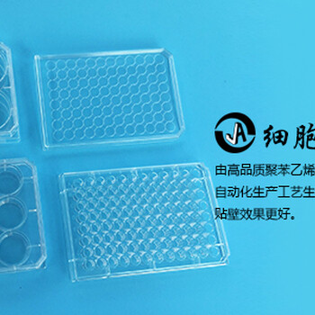 上海晶安6孔12孔24孔96孔PLL多聚赖氨酸预包被细胞培养板