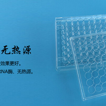 上海百千生物J00120圆孔平底12孔细胞培养板无菌塑料透明细胞培养板价格