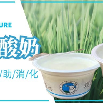 投資悠羊牧場加盟店帶來豐厚利潤