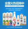 椰泰艾尔牧发酵果汁，热销饮料加盟代理费用详情