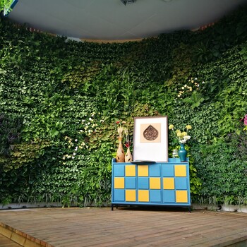 植物墙设计施工园林绿化屋顶绿化雨林造景等设计服务