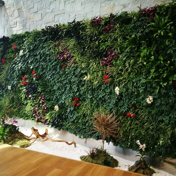 深圳福田植物墙、苔藓墙、绿化墙设计施工，绿雕设计制作公司