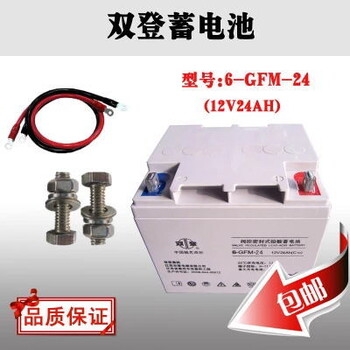 双登铅酸免维护蓄电池6-GFM2412V24AHups电源直流屏用蓄电池