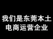 桥头阿里电商代运营企石阿里电商代运营横沥阿里电商代运营东坑阿里电商代运营