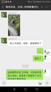 绿色有机蔬菜水果杀虫剂用大蒜油木吉安安全性果好