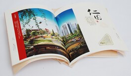 四川广安宣传单页联单手提袋不干胶折页画册印刷加工图片2