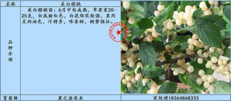 秦林櫻桃樹