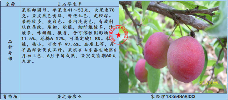 李子苗多少錢一棵