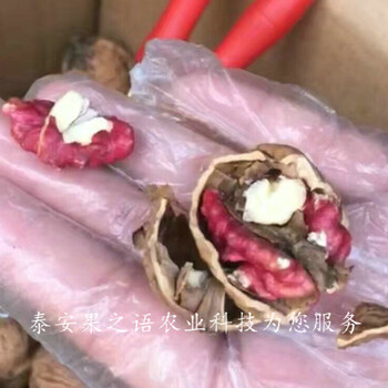 奉節(jié)6cm核桃樹今年價格2018新報價