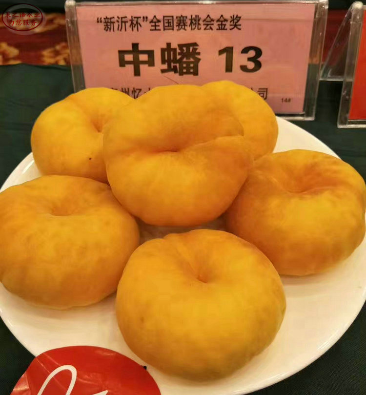 4cm桃樹、8cm桃樹行情