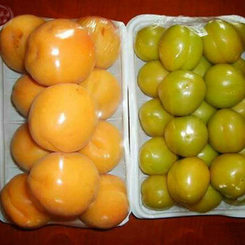 临沧串枝红杏苗品种有哪些、2cm杏树报价一览表