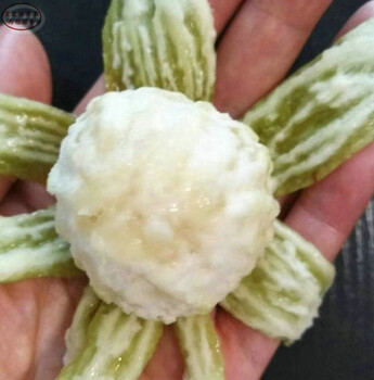 原生型無花果無花果苗主產(chǎn)區(qū)歡迎您、原生型無花果無花果苗批發(fā)