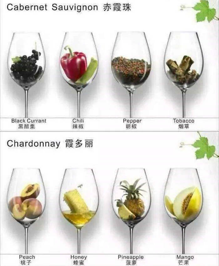 赤霞珠葡萄樹苗特點對比