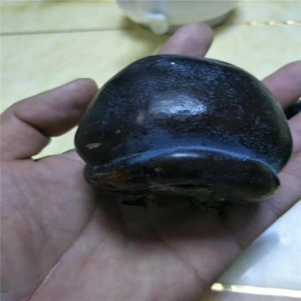 松本早生柿子苗批發(fā) 松本早生柿子苗種植技術