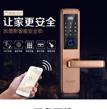 佛山南海区指纹锁厂家大量供应家用防盗指纹锁图片