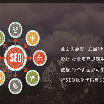 青岛seo价格，网站结构优化，网站优化排名