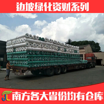 廠家園林綠化高速公路草籽草坪護坡邊坡綠色白色無紡布