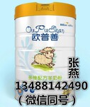 乳制品批发价格陕西中老年羊奶粉品牌《欧普善》多维配方羊奶粉800g装