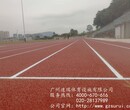 珠海学校全塑型塑胶跑道材料多少钱一平方