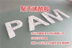 内江市阳离子聚丙烯酰胺PAM厂家和7天发货价格图片0