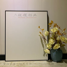 珠海铝合金家具品牌招商洗衣机柜浴室柜门板型材现货全铝家具提供图片