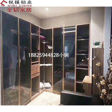 佛山厂家全铝家居衣柜材料家具铝合金型材极简玻璃门高端衣柜图片