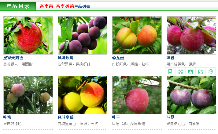 怎样运营认养果树,果树认养运营模式分析