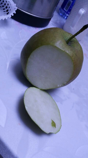 奧紅一號梨樹苗報價一覽表便宜的奧紅一號梨樹苗