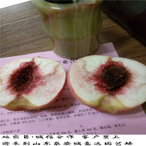 培育風(fēng)味太后桃種植技術(shù)