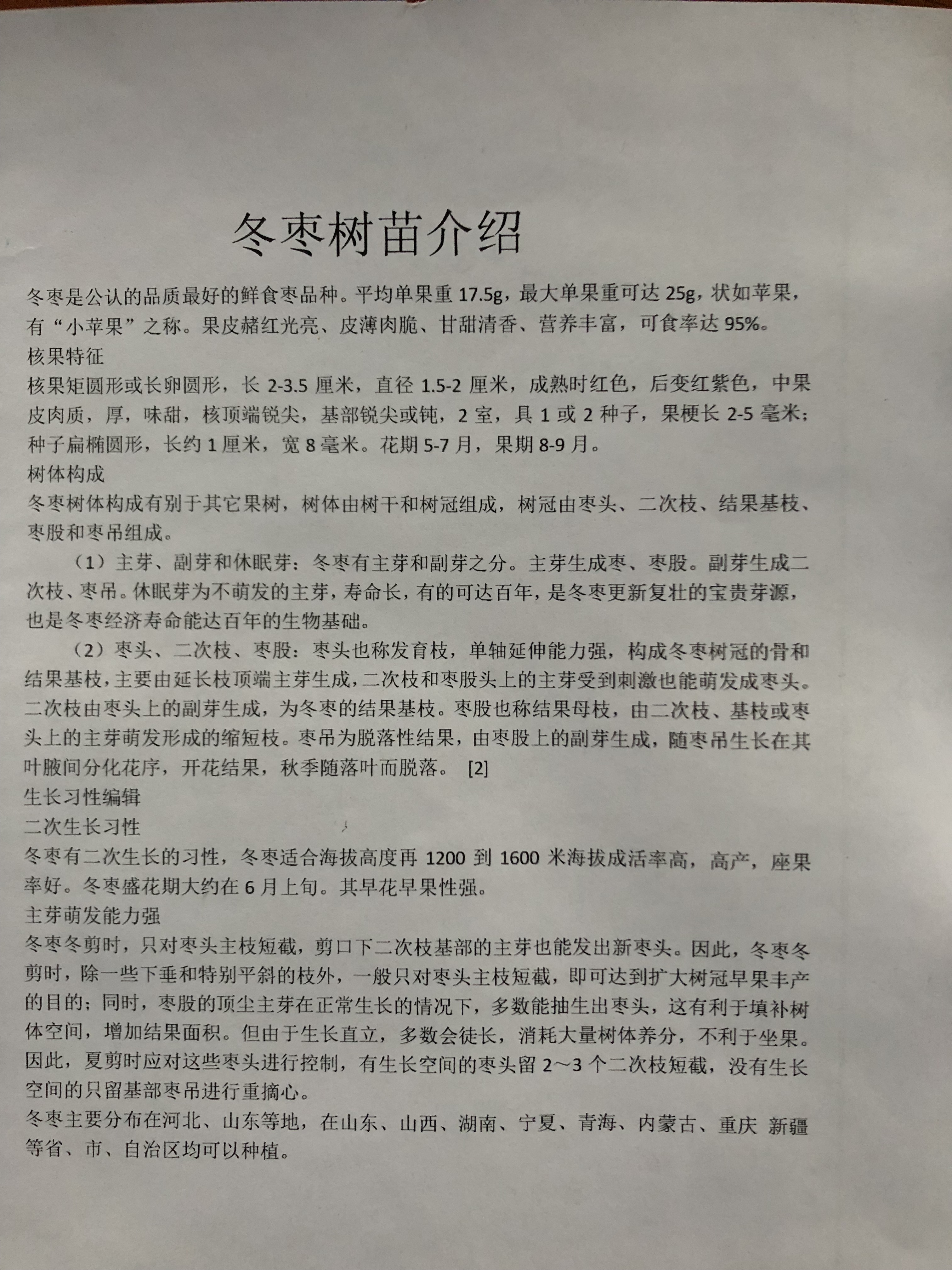 來(lái)客西梅樹(shù)苗便宜供應(yīng)、嘉興包成活廠家