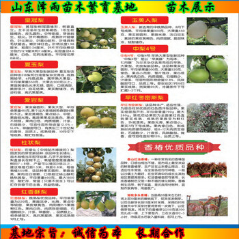 九葉青花椒苗價(jià)錢(qián)多少、九葉青花椒苗咨詢(xún)來(lái)電