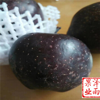 雨露紅蘋果價(jià)格多少（伊犁）