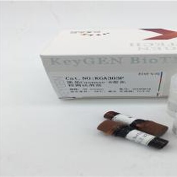 凯基Caspase8荧光法检测试剂盒（AFC）KGA302F