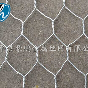 安平县供应六角网，拧花网，保温网，软边网