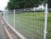 东莞双边丝护栏养殖护栏网高速公路护栏网中央绿化隔离网精益求精只为极致