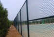 广东清远勾花网护栏，养鸡铁丝网，球场围网菱形网，马路绿化带防护网