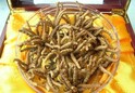 北京回收冬虫夏草，上门回收价格高，专业回收冬虫夏草价高