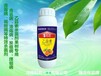 肇庆砂糖橘柑橘青苔病特效药治青苔病煤烟病用什么药最好