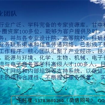 东兴市玩具项目立项-可以做项目可行性报告公司-格式