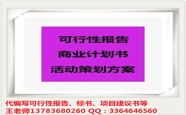 东兴市玩具项目立项-可以做项目可行性报告公司-格式