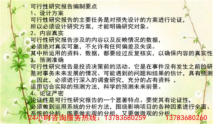 高阳县写可行性写可行性报告可研-做标书的多钱