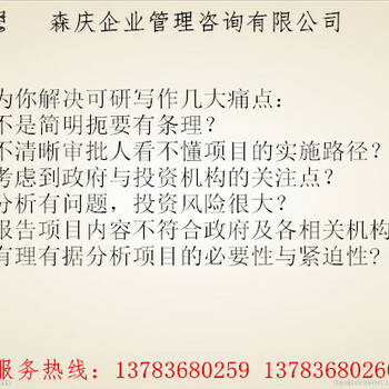 定边县可以注意可行性报告公司-可行性报告机构