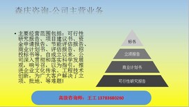 曲麻莱县可研报告可以做的公司-编写可行图片5