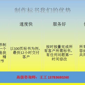 舞钢本地写可行性报告的公司/可行报告公司