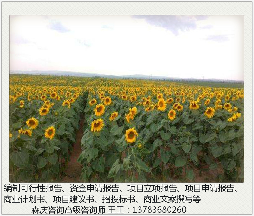 湘阴县写投标的标书公司-标书公司可行报告能做