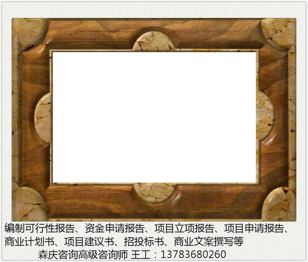 铜陵能做可行性报告的公司/哪里能写可行