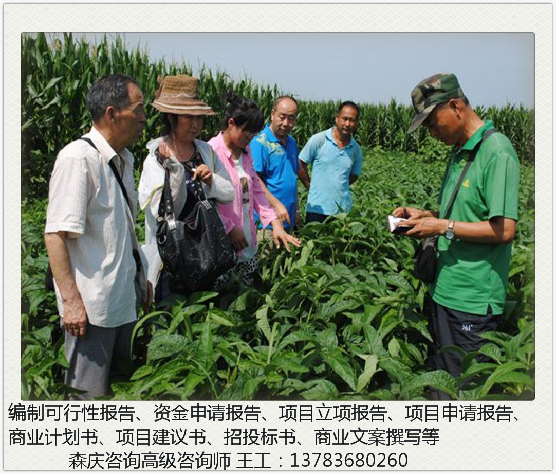 能写隆回县代做标书-隆回县怎样写标书