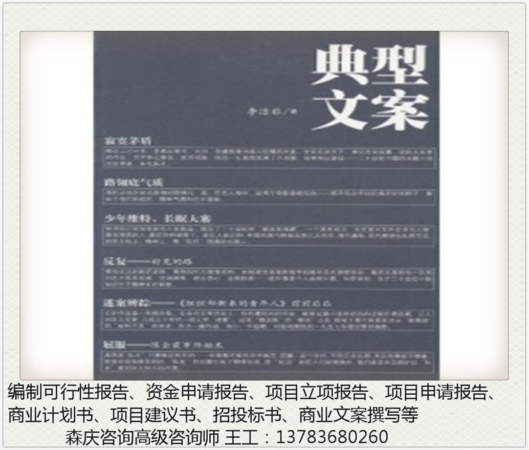 宜昌可以写可行性报告公司