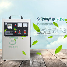 KS-10G臭氧发生器净化空间臭氧消毒机微电脑控制系统性能更稳定图片